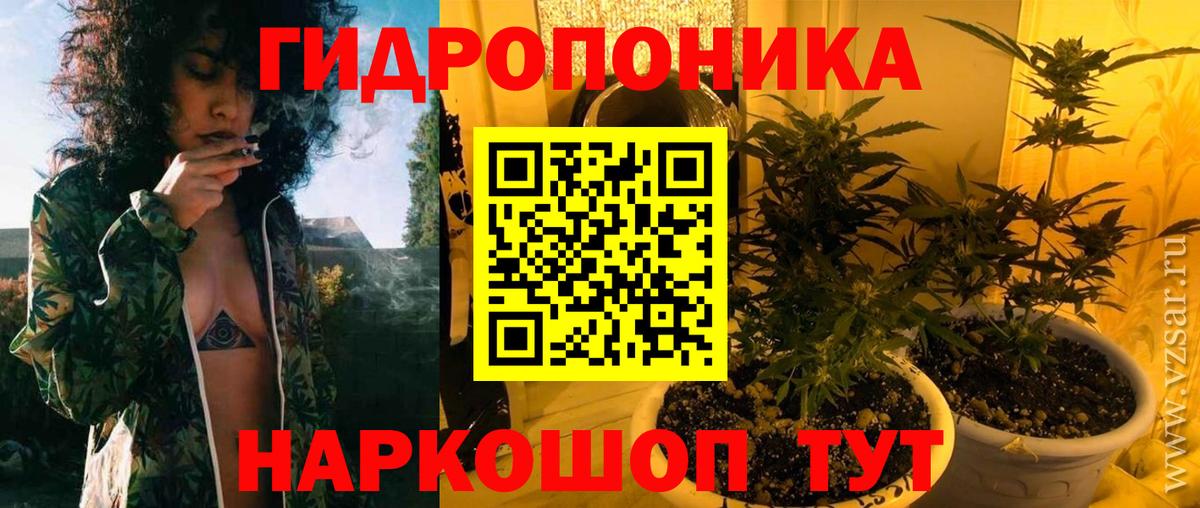 МАРИХУАНА сатива Всеволожск